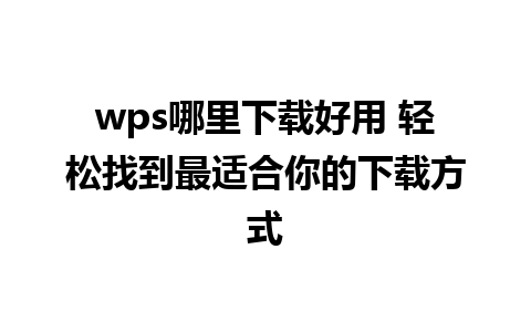 wps哪里下载好用 轻松找到最适合你的下载方式