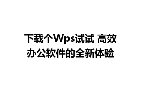 下载个Wps试试 高效办公软件的全新体验