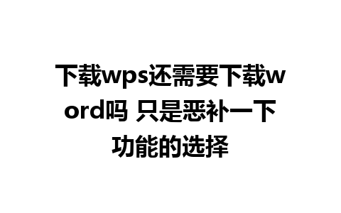 下载wps还需要下载word吗 只是恶补一下功能的选择