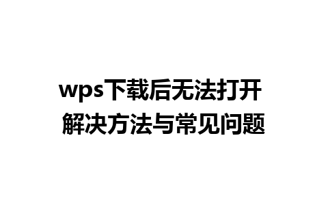 wps下载后无法打开 解决方法与常见问题