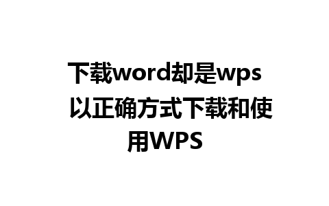 下载word却是wps  以正确方式下载和使用WPS