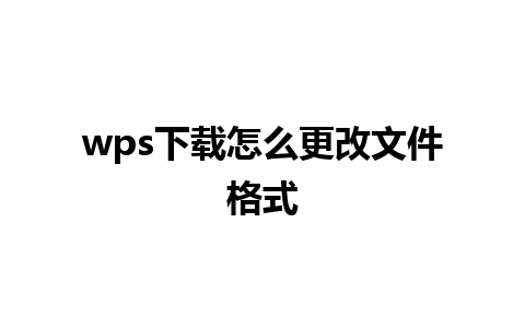 wps下载怎么更改文件格式