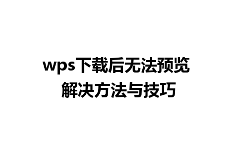 wps下载后无法预览 解决方法与技巧