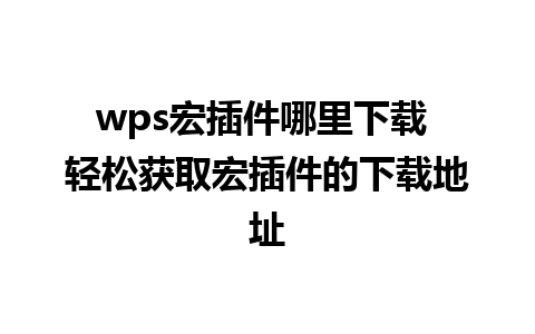 wps宏插件哪里下载 轻松获取宏插件的下载地址