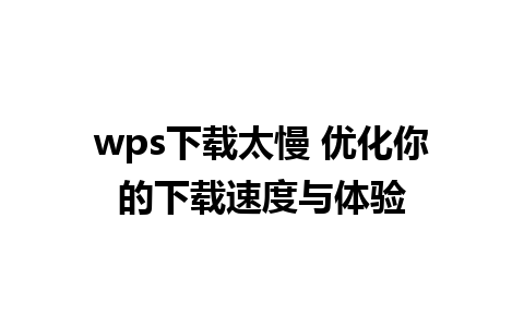 wps下载太慢 优化你的下载速度与体验