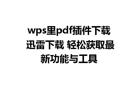 wps里pdf插件下载 迅雷下载 轻松获取最新功能与工具