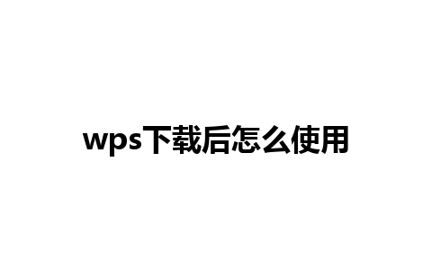 wps下载后怎么使用 