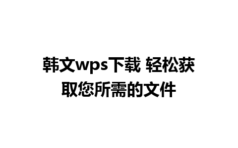 韩文wps下载 轻松获取您所需的文件