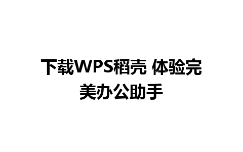 下载WPS稻壳 体验完美办公助手