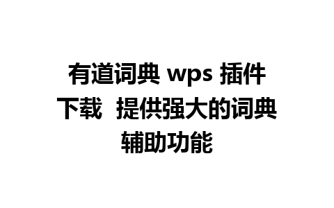 有道词典 wps 插件下载  提供强大的词典辅助功能