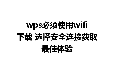 wps必须使用wifi下载 选择安全连接获取最佳体验