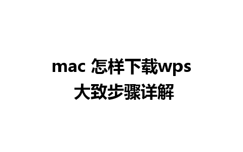 mac 怎样下载wps 大致步骤详解