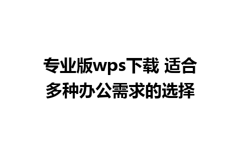 专业版wps下载 适合多种办公需求的选择