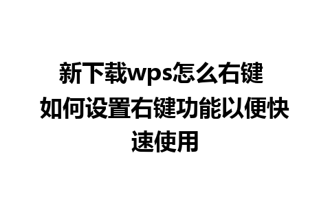 新下载wps怎么右键 如何设置右键功能以便快速使用