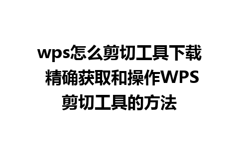 wps怎么剪切工具下载 精确获取和操作WPS剪切工具的方法