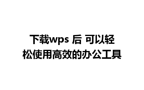 下载wps 后 可以轻松使用高效的办公工具