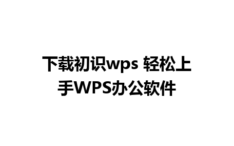 下载初识wps 轻松上手WPS办公软件