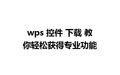 wps 控件 下载 教你轻松获得专业功能