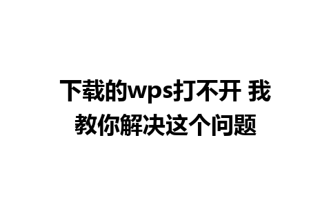 下载的wps打不开 我教你解决这个问题