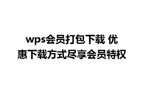 wps会员打包下载 优惠下载方式尽享会员特权