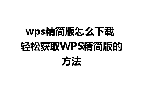 wps精简版怎么下载 轻松获取WPS精简版的方法