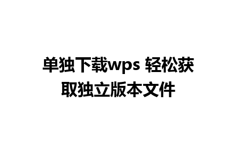 单独下载wps 轻松获取独立版本文件