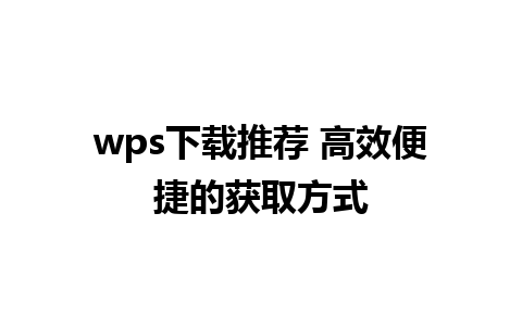 wps下载推荐 高效便捷的获取方式