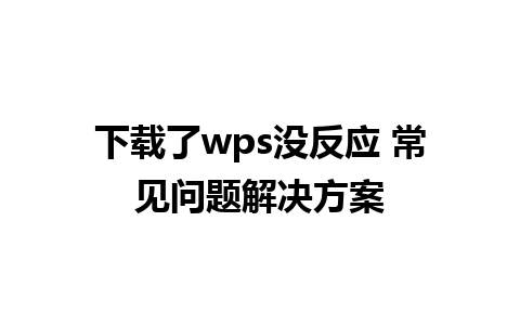 下载了wps没反应 常见问题解决方案