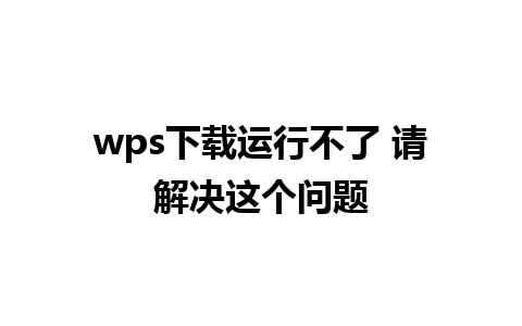 wps下载运行不了 请解决这个问题