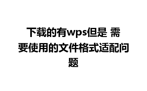 下载的有wps但是 需要使用的文件格式适配问题