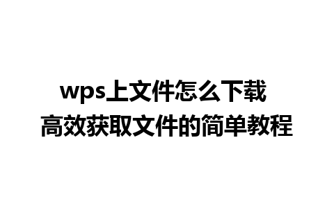 wps上文件怎么下载 高效获取文件的简单教程