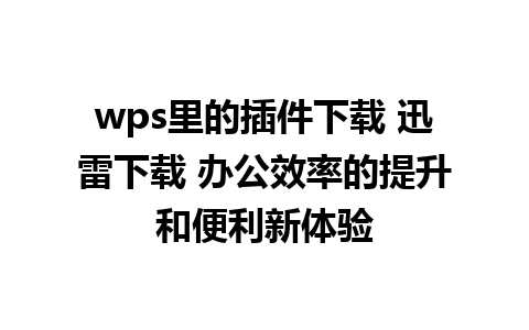 wps里的插件下载 迅雷下载 办公效率的提升和便利新体验