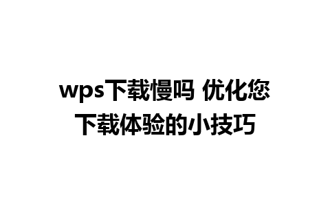 wps下载慢吗 优化您下载体验的小技巧