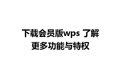 下载会员版wps 了解更多功能与特权