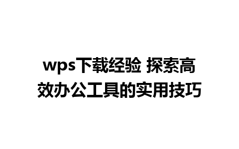 wps下载经验 探索高效办公工具的实用技巧