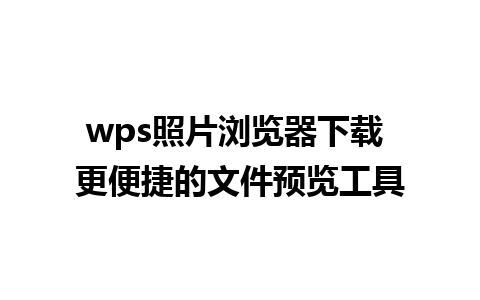 wps照片浏览器下载 更便捷的文件预览工具