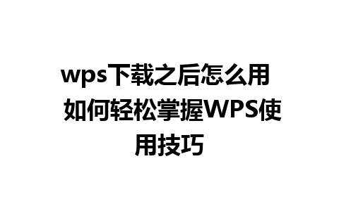 wps下载之后怎么用  如何轻松掌握WPS使用技巧