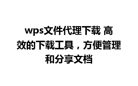 wps文件代理下载 高效的下载工具，方便管理和分享文档