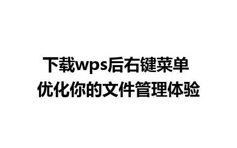 下载wps后右键菜单 优化你的文件管理体验