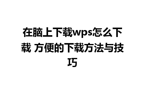 在脑上下载wps怎么下载 方便的下载方法与技巧