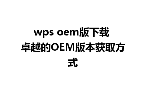 wps oem版下载 卓越的OEM版本获取方式