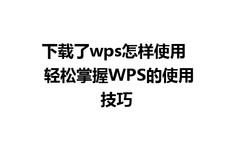 下载了wps怎样使用  轻松掌握WPS的使用技巧