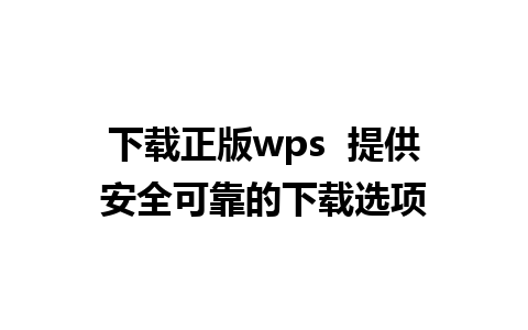 下载正版wps  提供安全可靠的下载选项