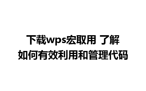 下载wps宏取用 了解如何有效利用和管理代码