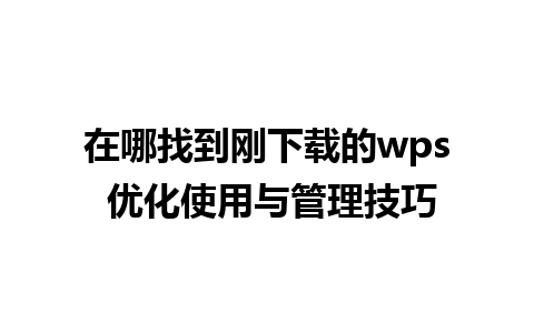 在哪找到刚下载的wps 优化使用与管理技巧