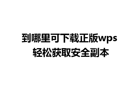 到哪里可下载正版wps 轻松获取安全副本