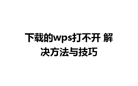 下载的wps打不开 解决方法与技巧