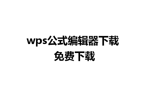 wps公式编辑器下载 免费下载