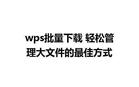 wps批量下载 轻松管理大文件的最佳方式