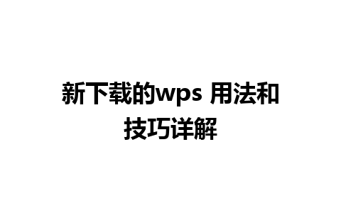 新下载的wps 用法和技巧详解